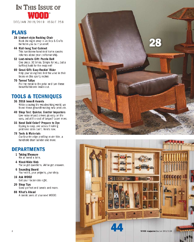 wood Magazine 258