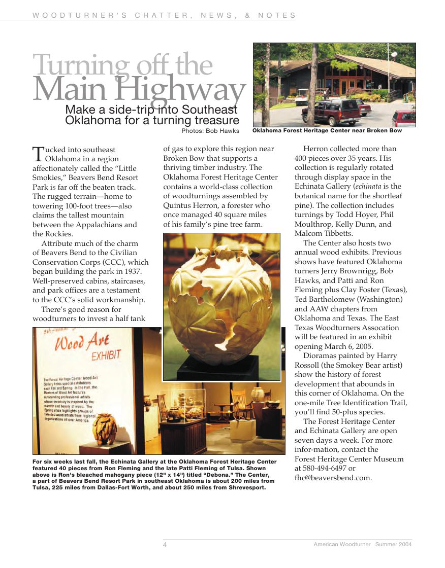 American woodturner第19-02期