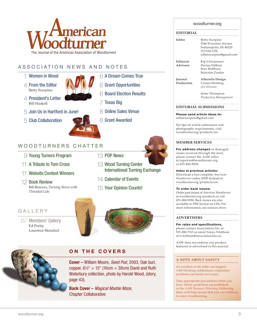 American woodturner第24-04期