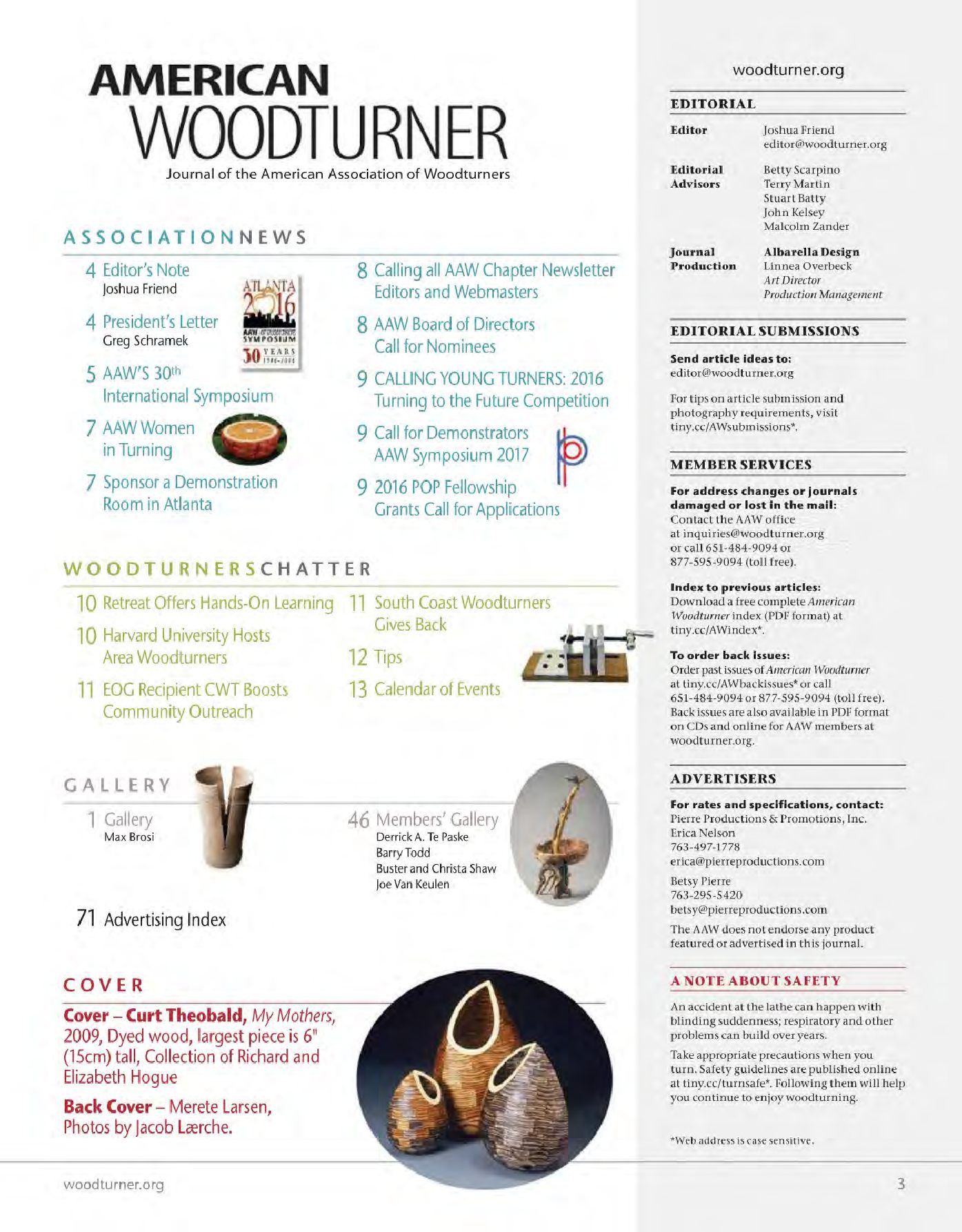 American woodturner第31-01期