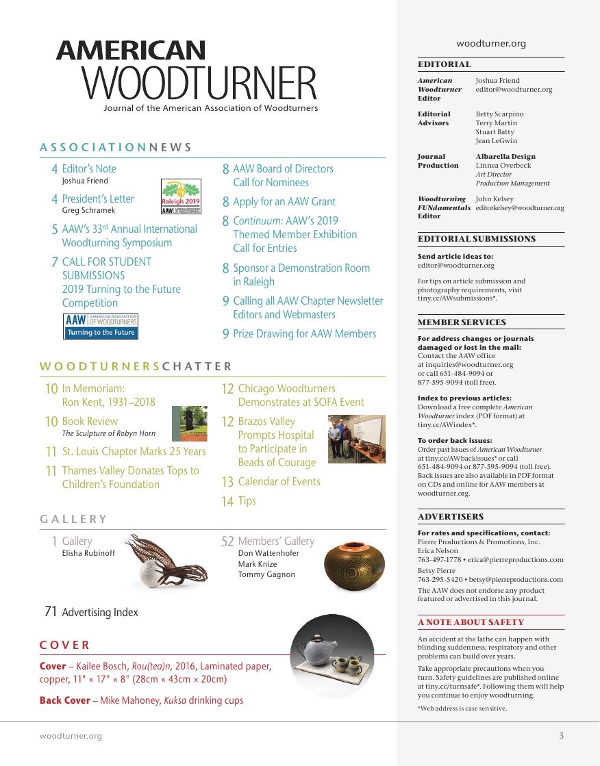 American woodturner第34-01期