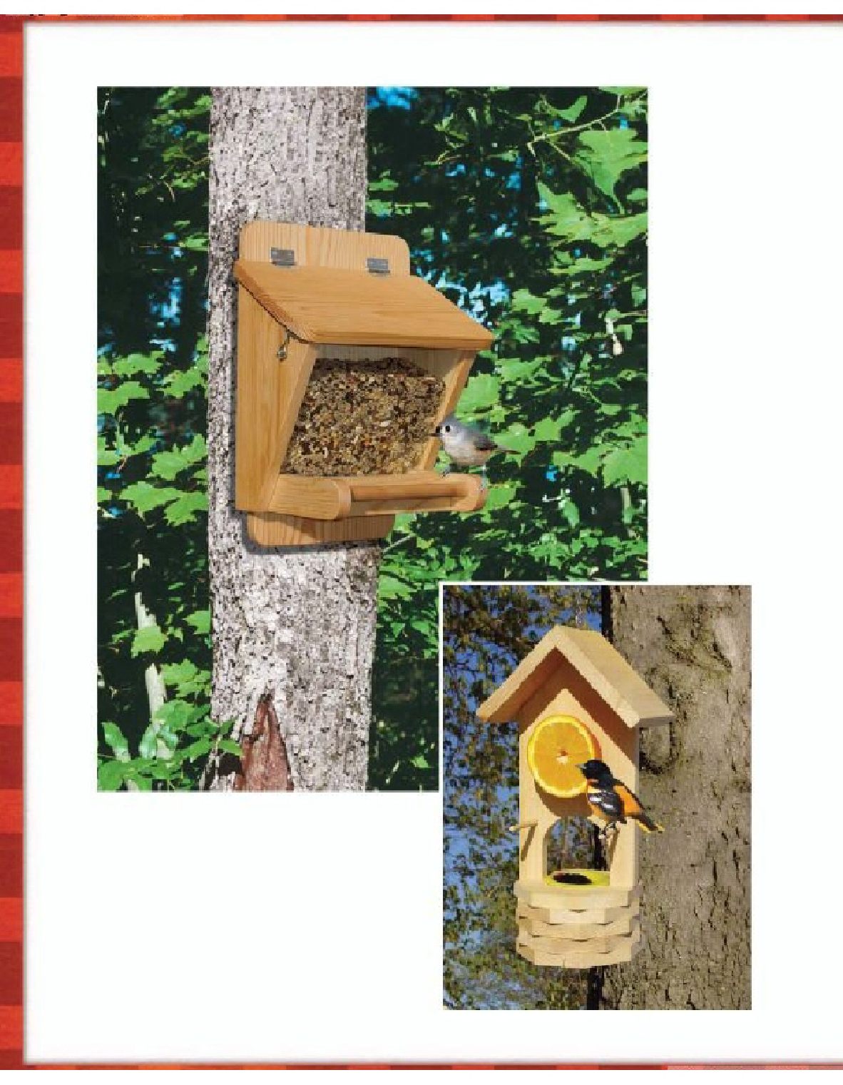 Bird-Friendly Nest Boxes and Feeders 12 Easy-To-Build Designs that Attract Birds to Your Yard