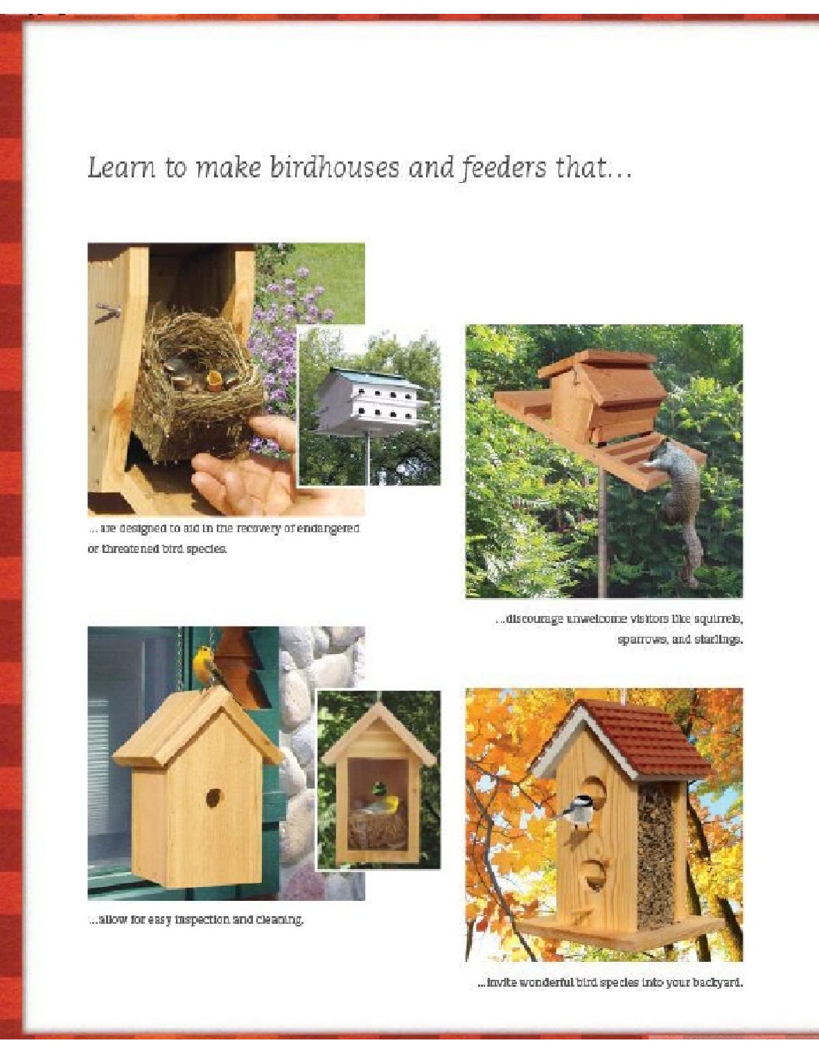 Bird-Friendly Nest Boxes and Feeders 12 Easy-To-Build Designs that Attract Birds to Your Yard