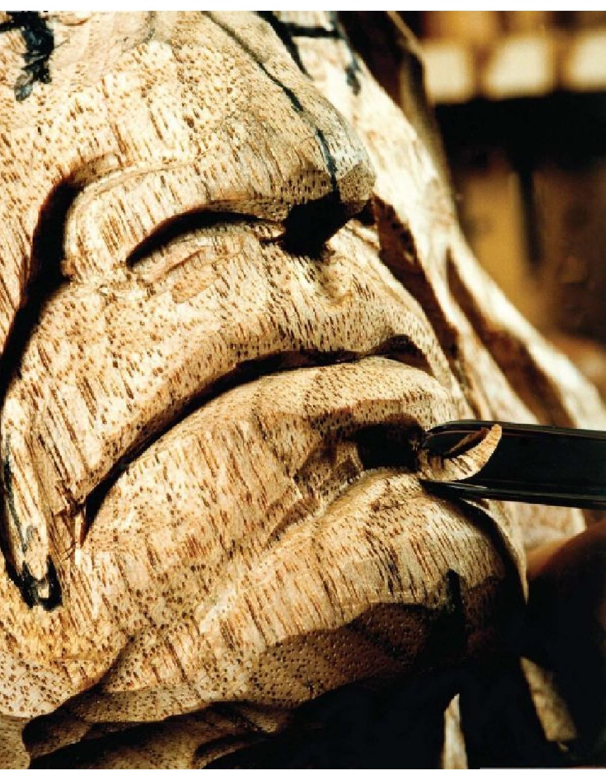 Carving the Human Face- Capturing Character and Expression in Wood
