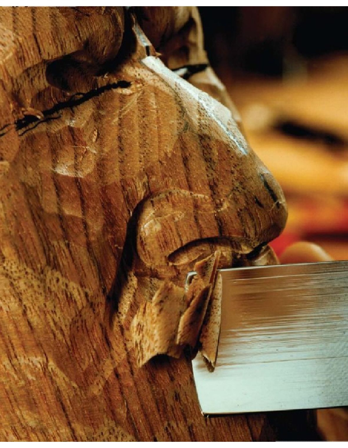 Carving the Human Face- Capturing Character and Expression in Wood