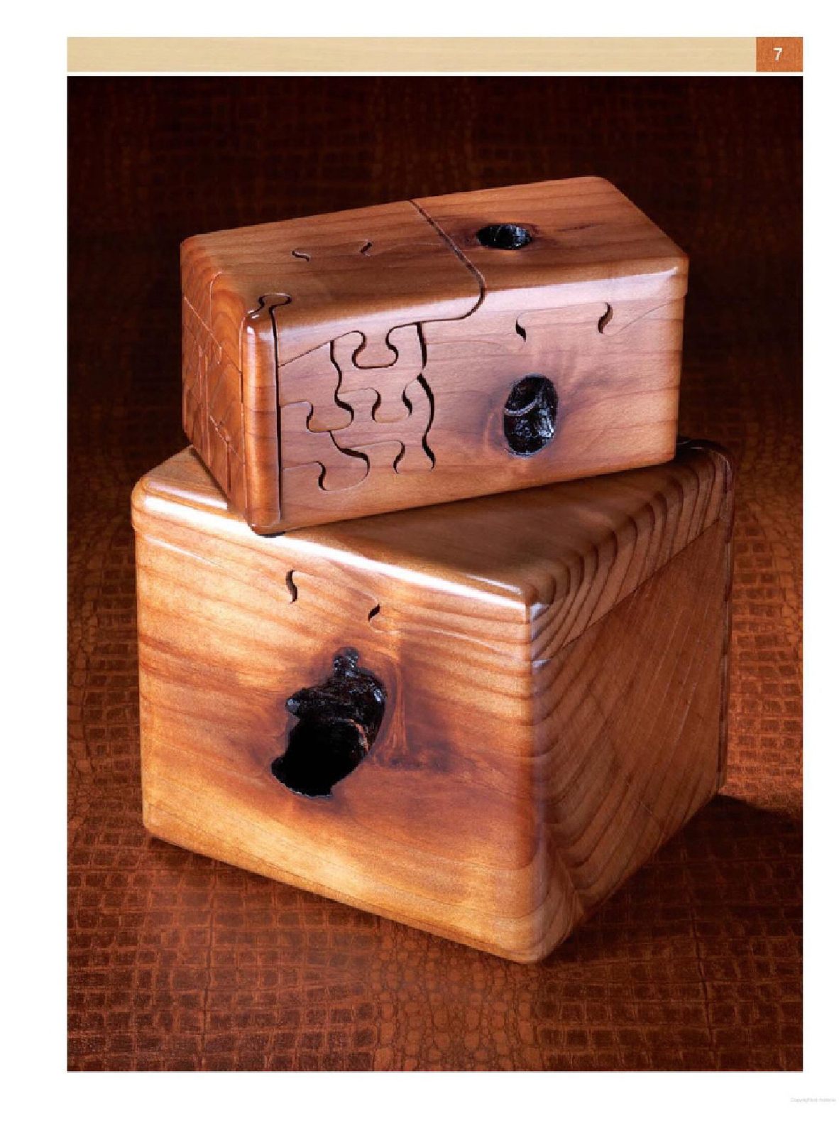 Puzzle Boxes- Fun and Intriguing Bandsaw Projects_益智盒：有趣和迷人的带锯床项目（热门木工）
