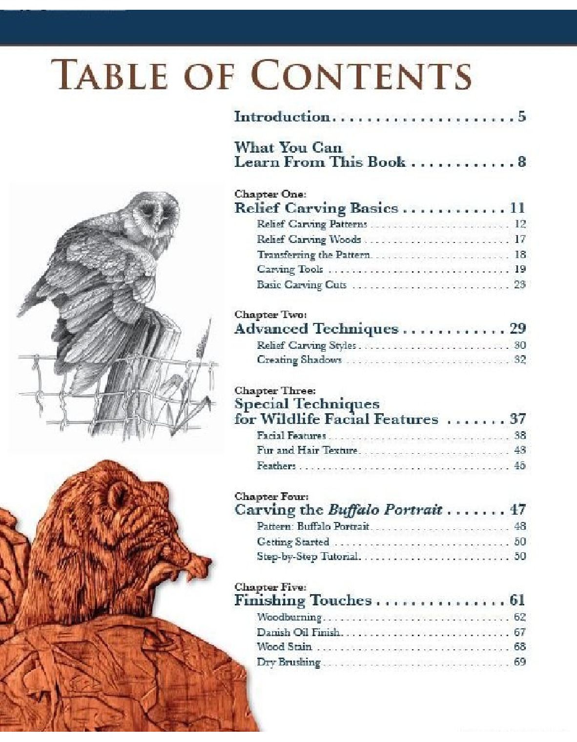 Wildlife Carving in Relief, Second Edition Revised and Expanded 2009_在救助野生动物雕刻