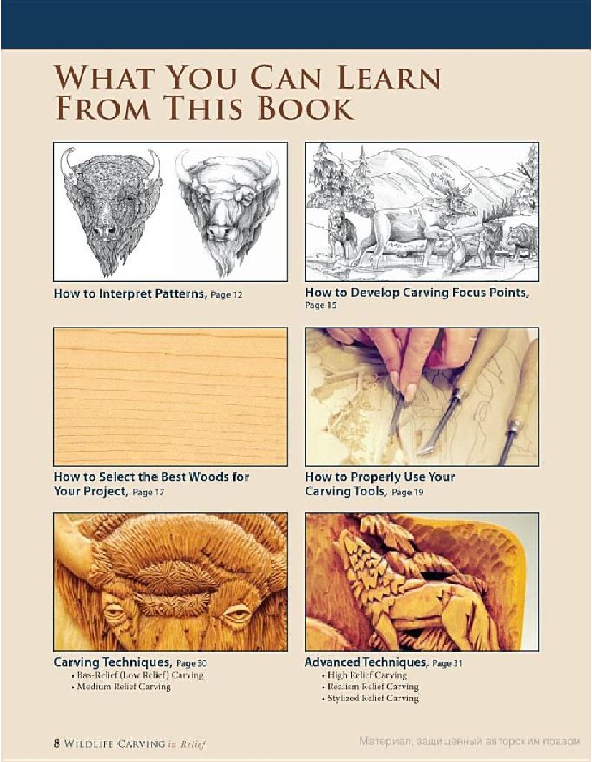 Wildlife Carving in Relief, Second Edition Revised and Expanded 2009_在救助野生动物雕刻