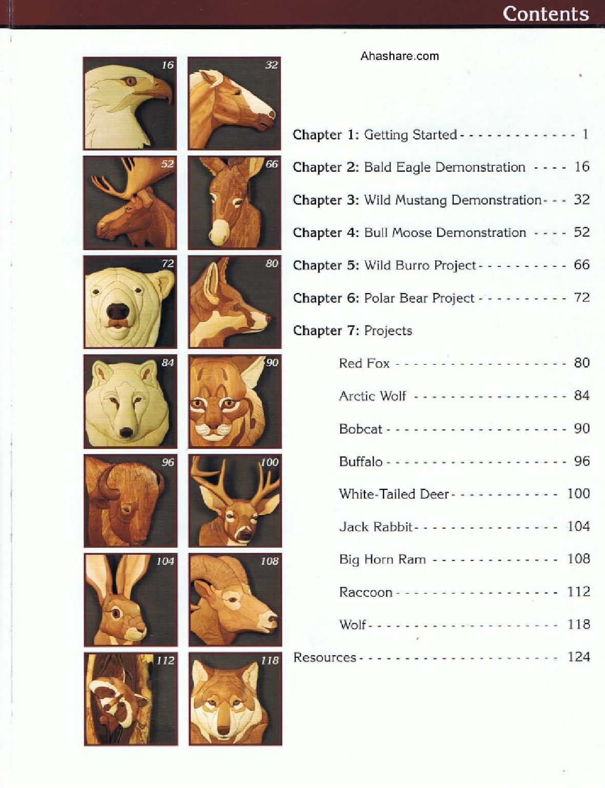 Wildlife Intarsia A Step-by-Step Guide to Making 3-Dimensional Wooden Portraits